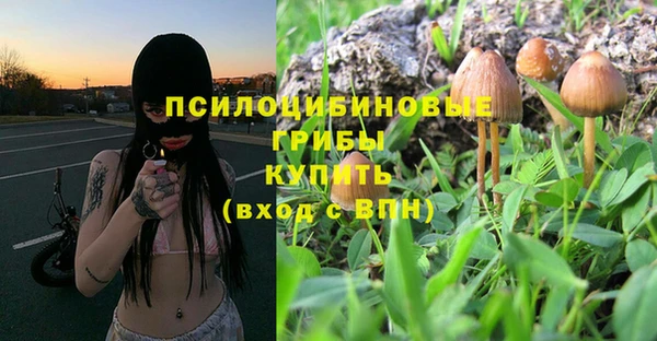 эйфоретик Баксан