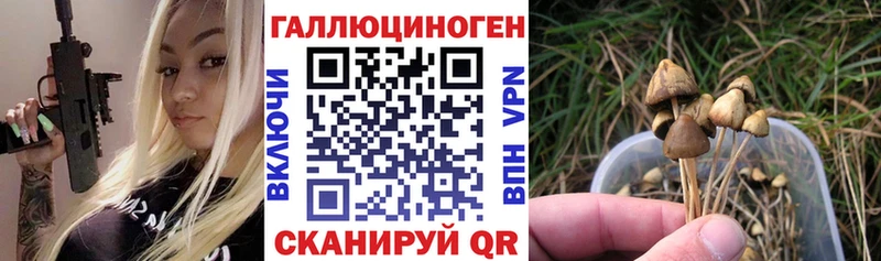 Псилоцибиновые грибы MAGIC MUSHROOMS  mega ТОР  Лагань  хочу  